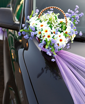 Wedding Transfer